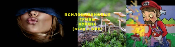 трава Краснотурьинск