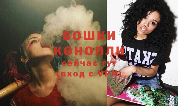 ECSTASY Краснослободск