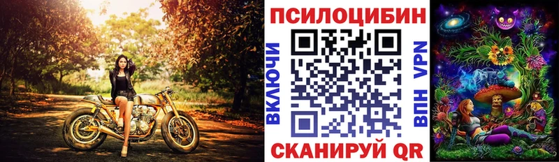 Купить закладки  Старая Русса  Галлюциногенные грибы Cubensis 